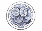 TAG 11